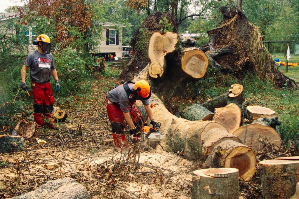 Community support requested for Team Rubicon during wildfire work in Steamboat - Vimarsana News